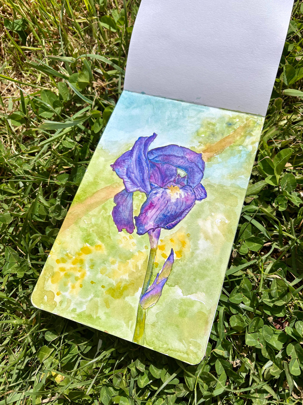 Iris Watercolor Painting